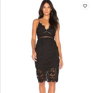 Botanical lace dress Bardot